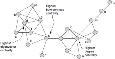 The Role of Language in Structuring Social Networks Following Market Integration in a Yucatec Maya Population